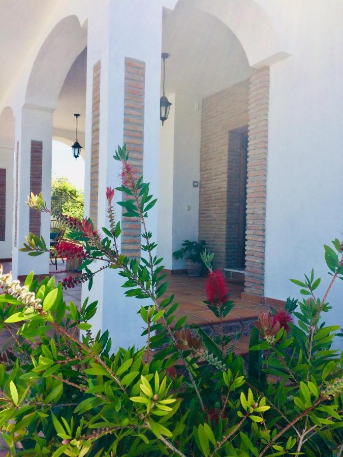 B&B Villa Pinos Malaga Alhaurín de la Torre Exterior foto
